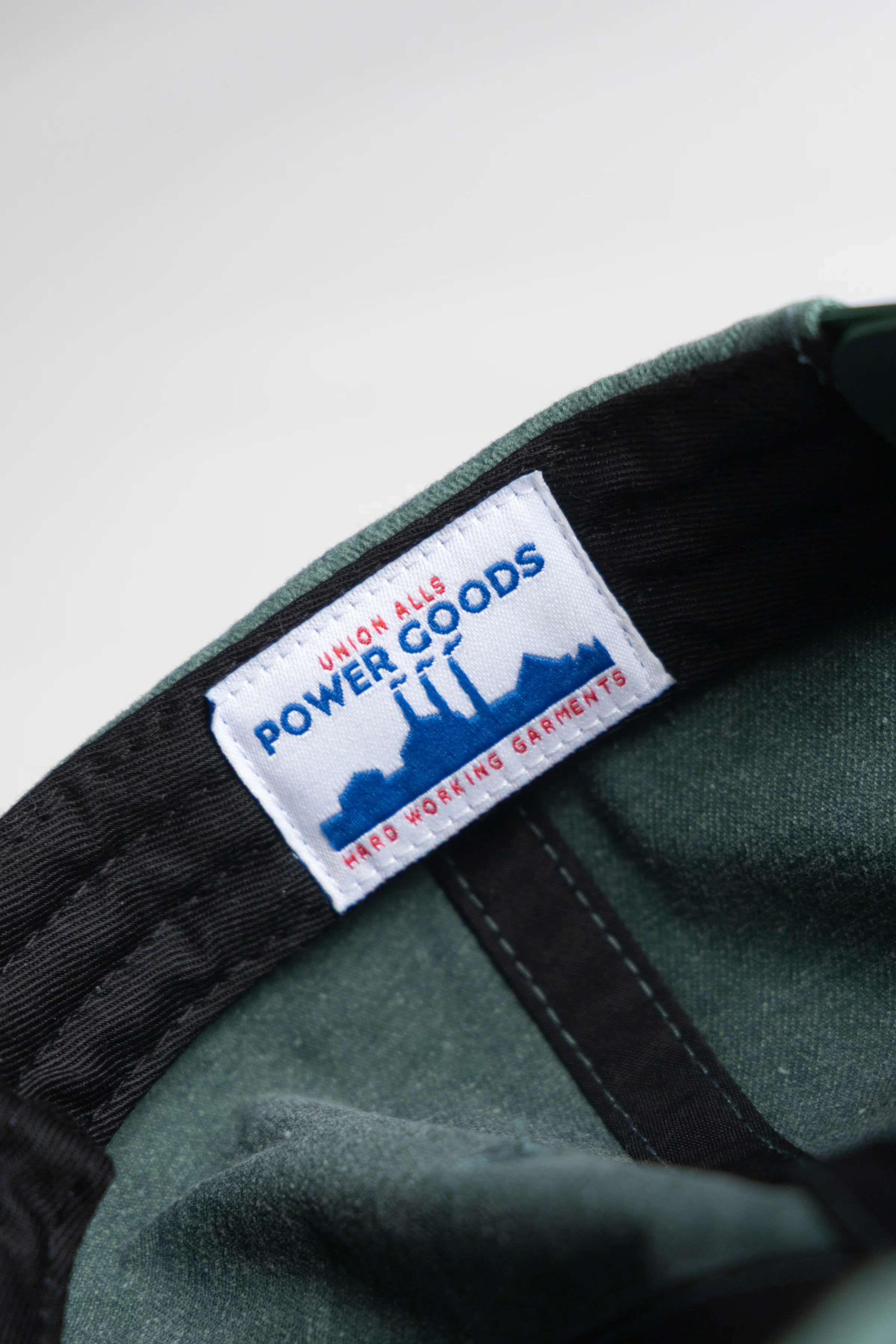 Carp Patch Cap - Pine - Image 5